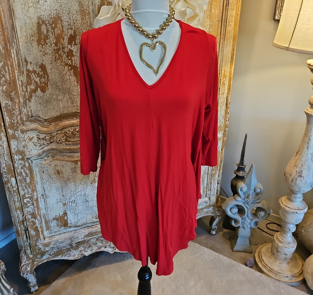Green Envelope Red V-Neck Tunic Top